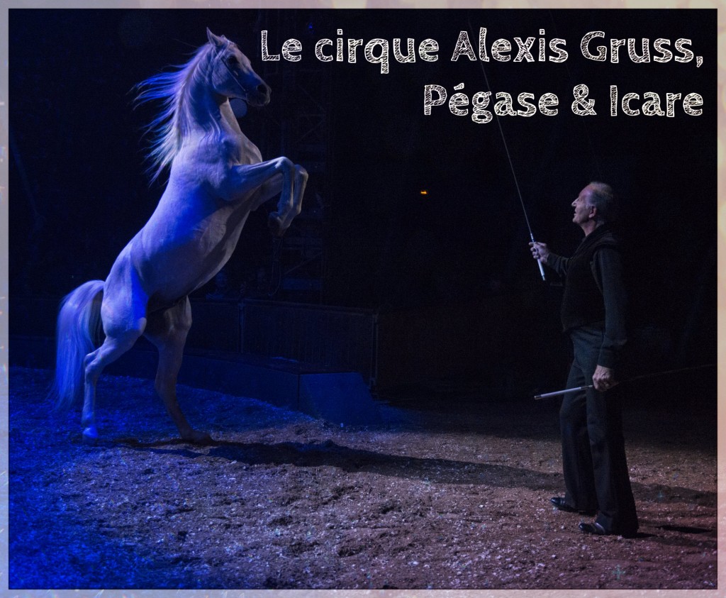 AlexisGruss UNE