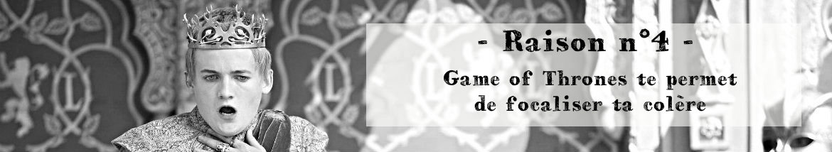 Joffrey_NB_1170_Cadre - Raison 4