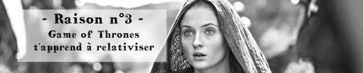 Sansa_NB_1170_Cadre - Raison 3