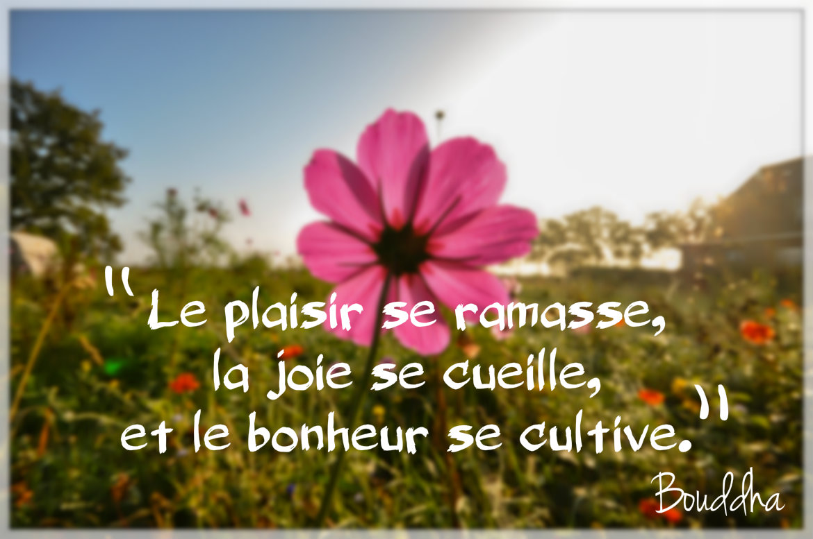 Bouddha