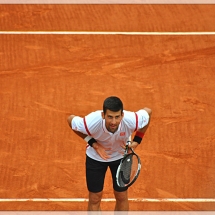 Djoko6