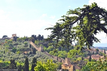 Firenze_2016_15