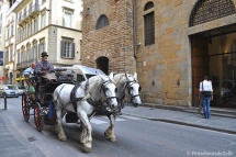 Firenze_2016_41