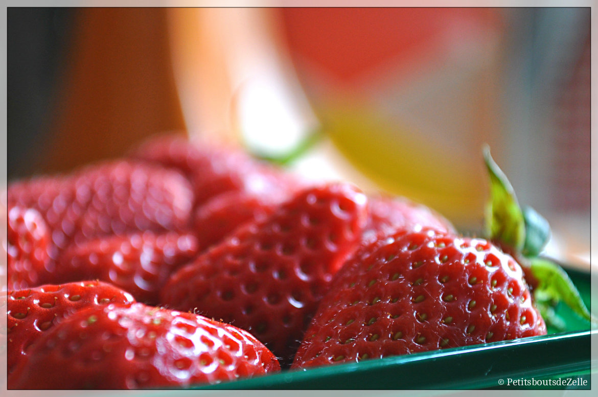 Fraises2_1170