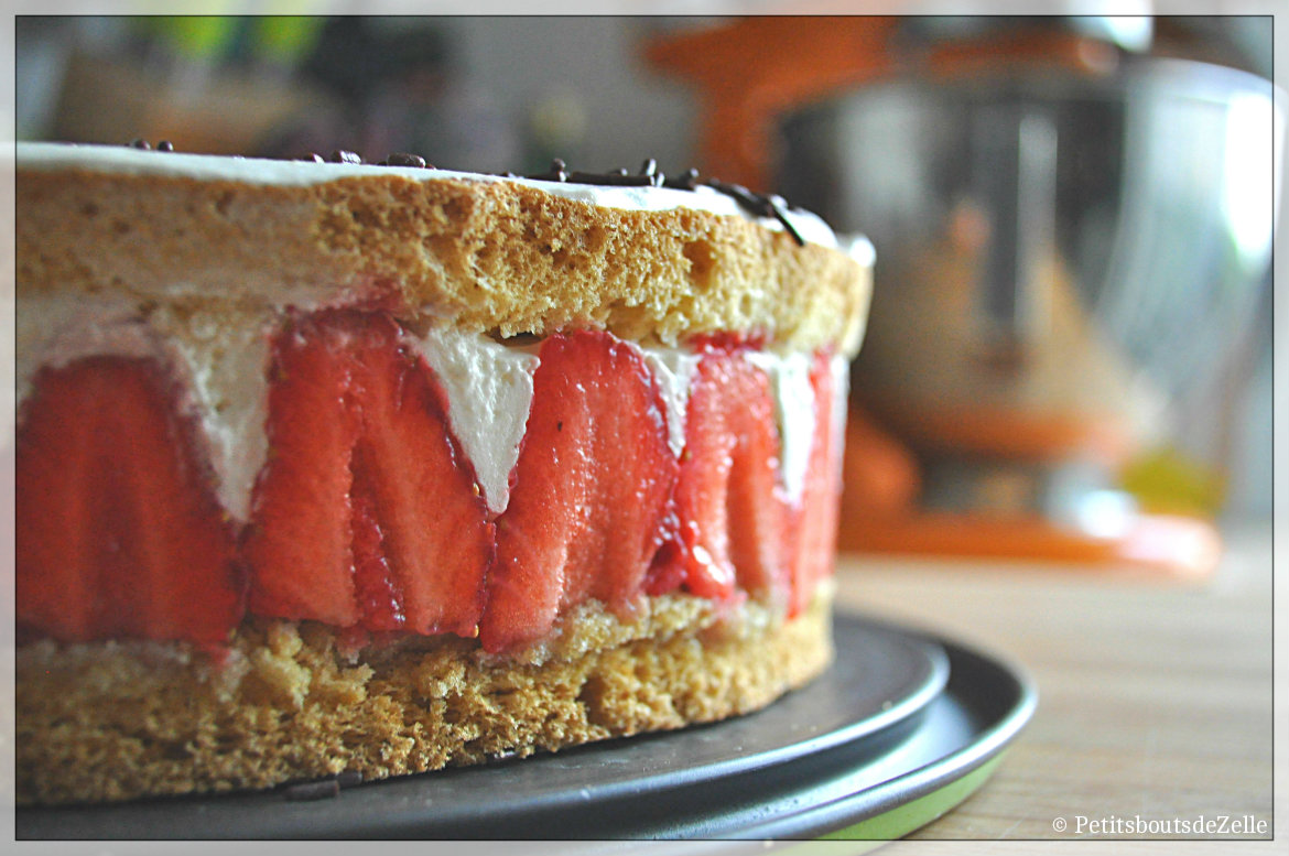 Fraisier2_1170