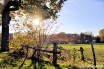 automne_2016-06