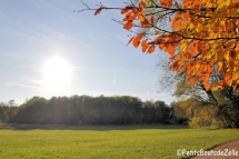 automne_2016-08