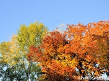 automne_2016-24