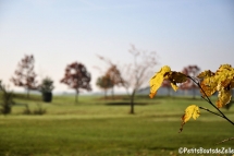 automne_2016-32