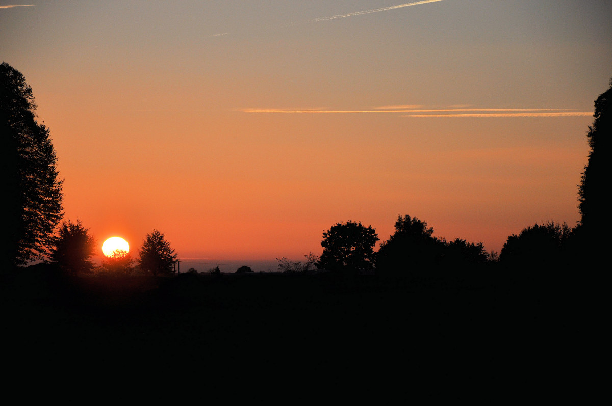 dsc_0347