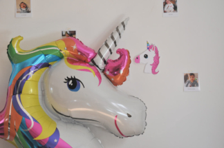 VegaooParty-licorne
