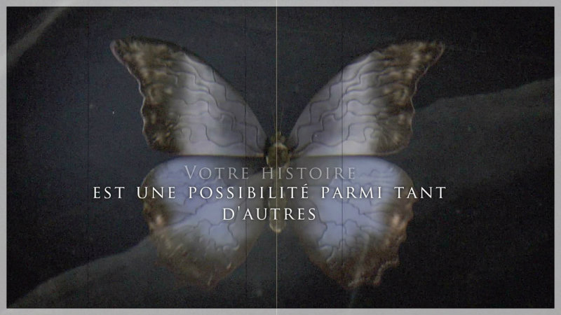 Papillon 800