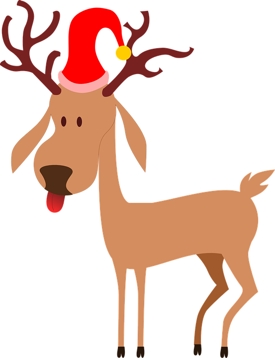 reindeer-307467_960_720